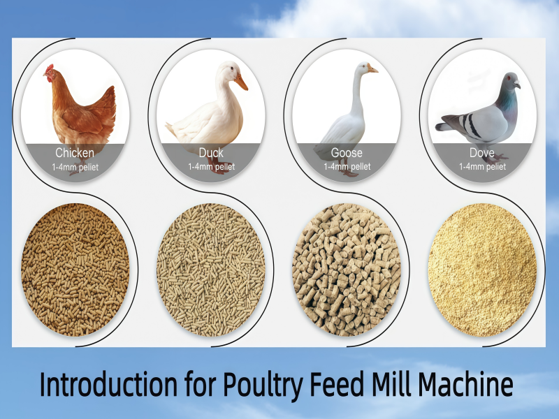 Poultry Feed Mill Machine